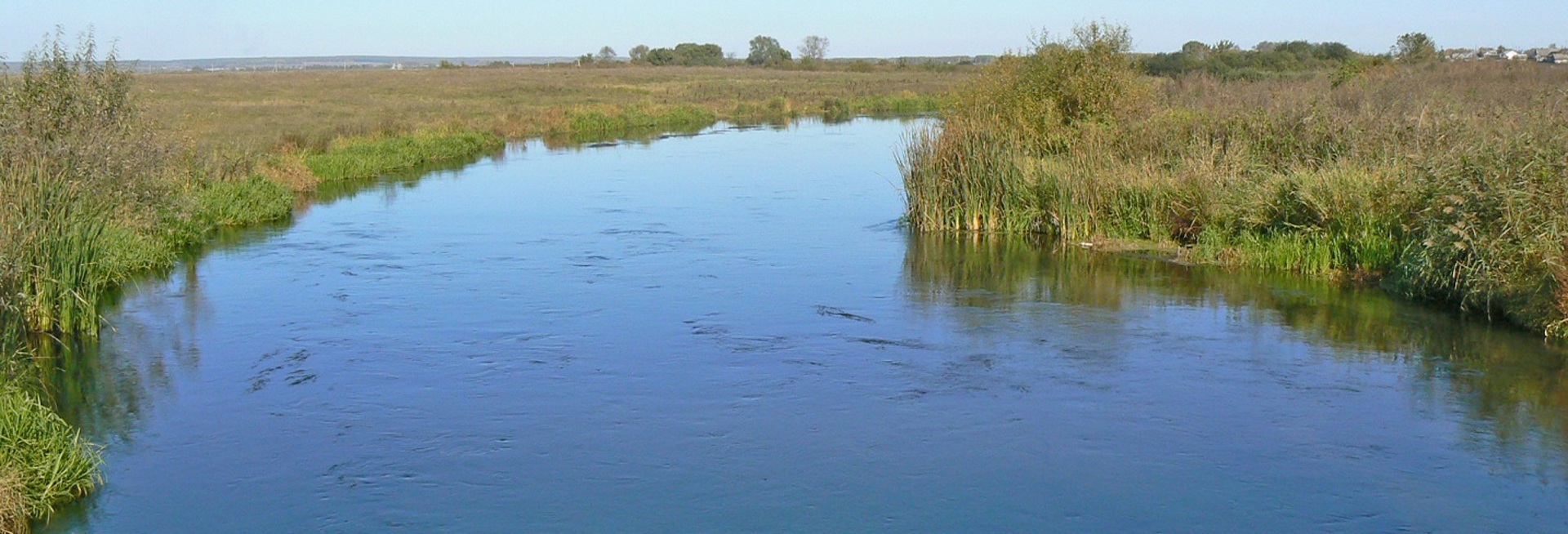 Slide Image 1